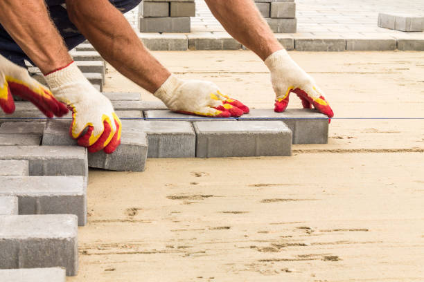 Best Driveway Paving Company  in Vla Park, IL