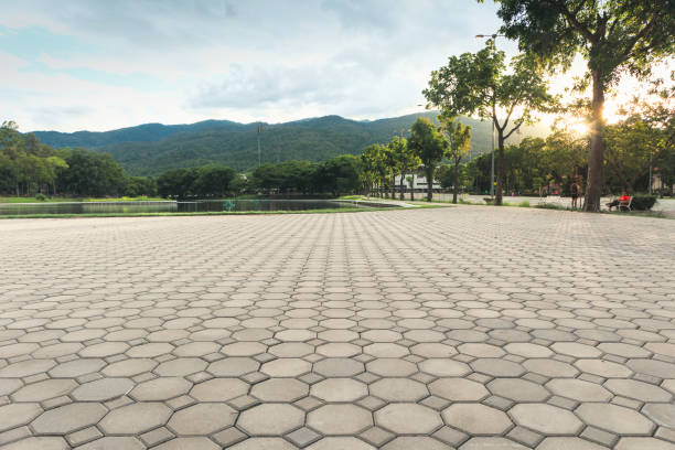 Best Driveway Paver Repair  in Vla Park, IL