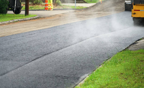 Best Residential Driveway Paver Services  in Vla Park, IL